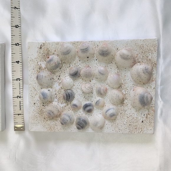 3 Pc Seashell Art, Beach Art, 3 Pieces 5x7 Wall Art, Hand Crafted Sea Shells - Picture 11 of 15